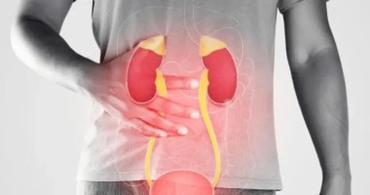 علامات خفية تدق ناقوس الخطر: انتبه لهذه التغيرات لتجنب مشاكل الكلى