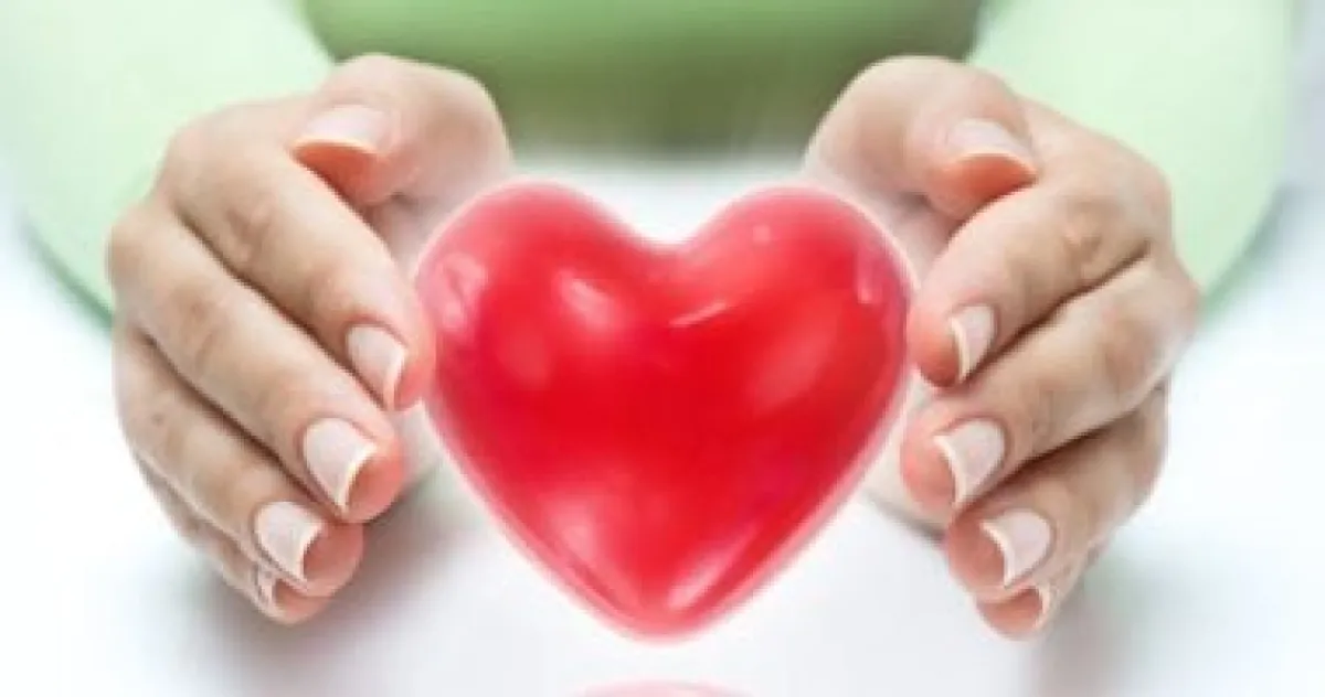 أسرار تسارع نبض القلب في لحظات الحب: كيمياء الجسم وراء الخفقان العاطفي