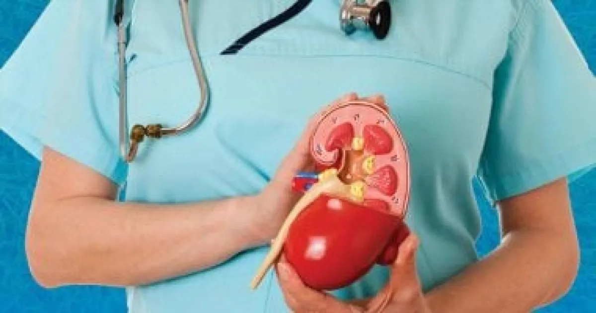 حمض اليوريك مرتفع؟ 7 علامات تحذيرية لا تتجاهلها.. من النقرس إلى حصوات الكلى