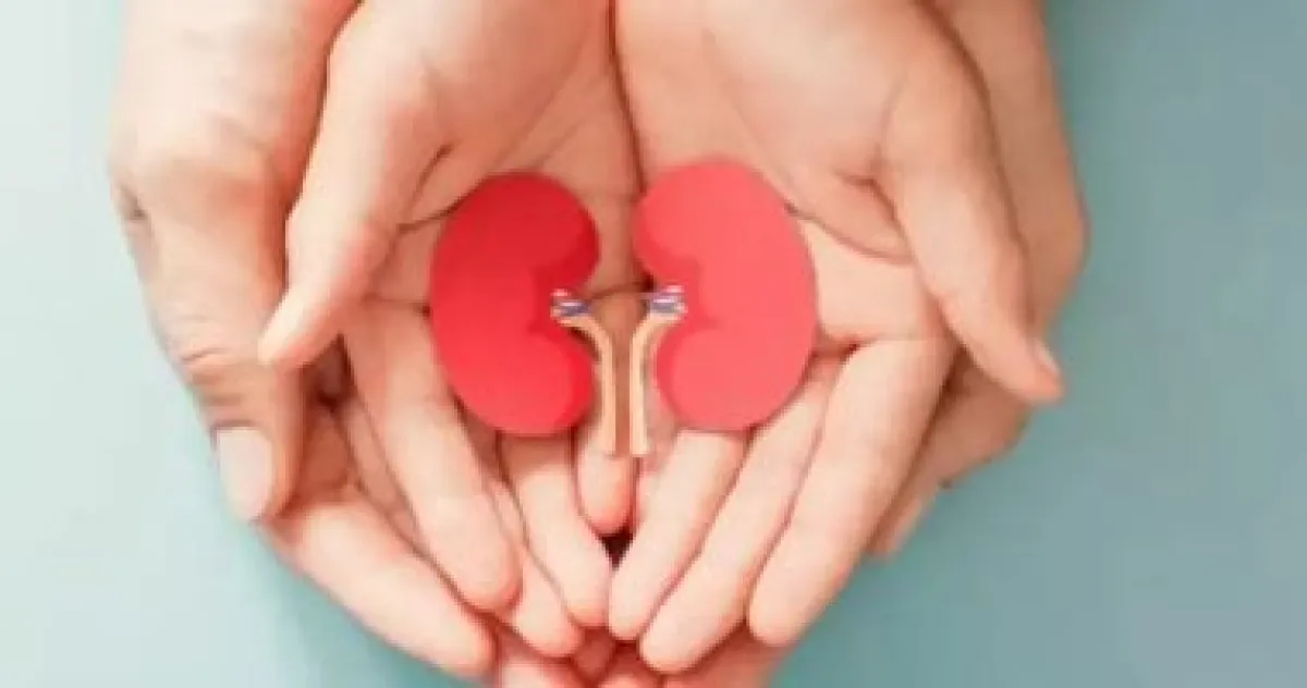 اليوم العالمي للكلى: 5 نصائح ذهبية لصحة كليتيك