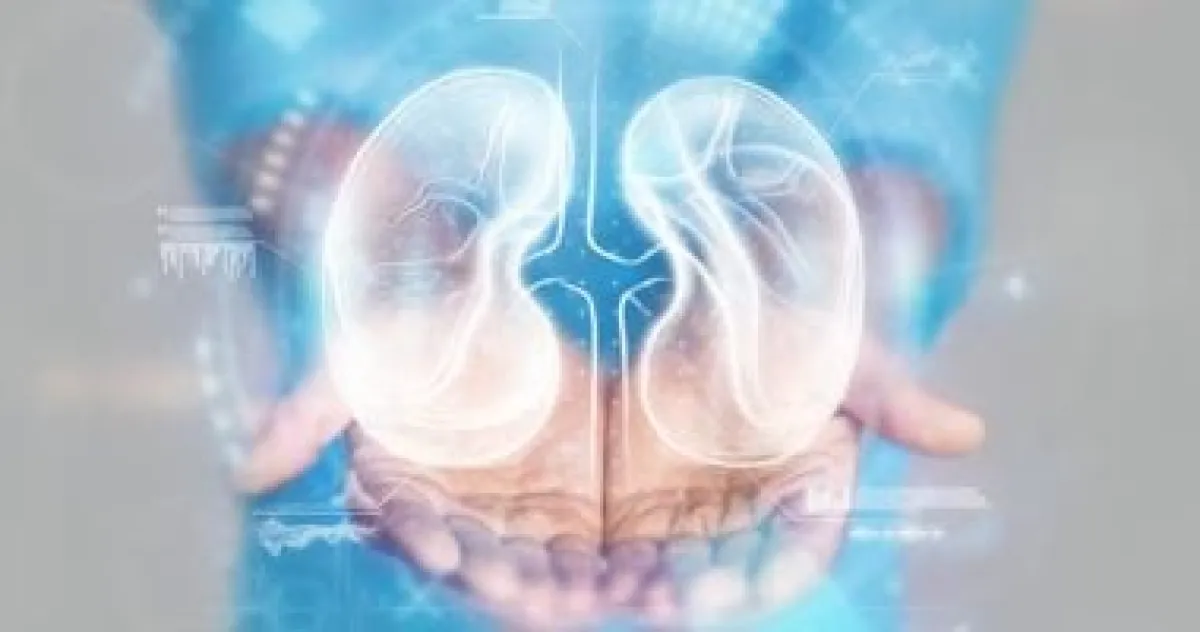 5 مشروبات طبيعية لتعزيز صحة الكلى وطرد السموم من الجسم