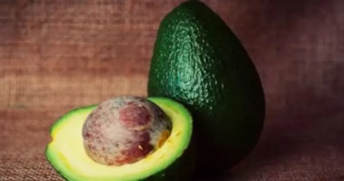 دهون صحية بديلة للأفوكادو: دليلك لتنويع مصادر الطاقة لصحة قلبك ودماغك