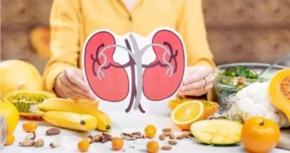 البروتين بكميات كبيرة: كيف يضغط على الكلى وما هي الاحتياطات اللازمة؟