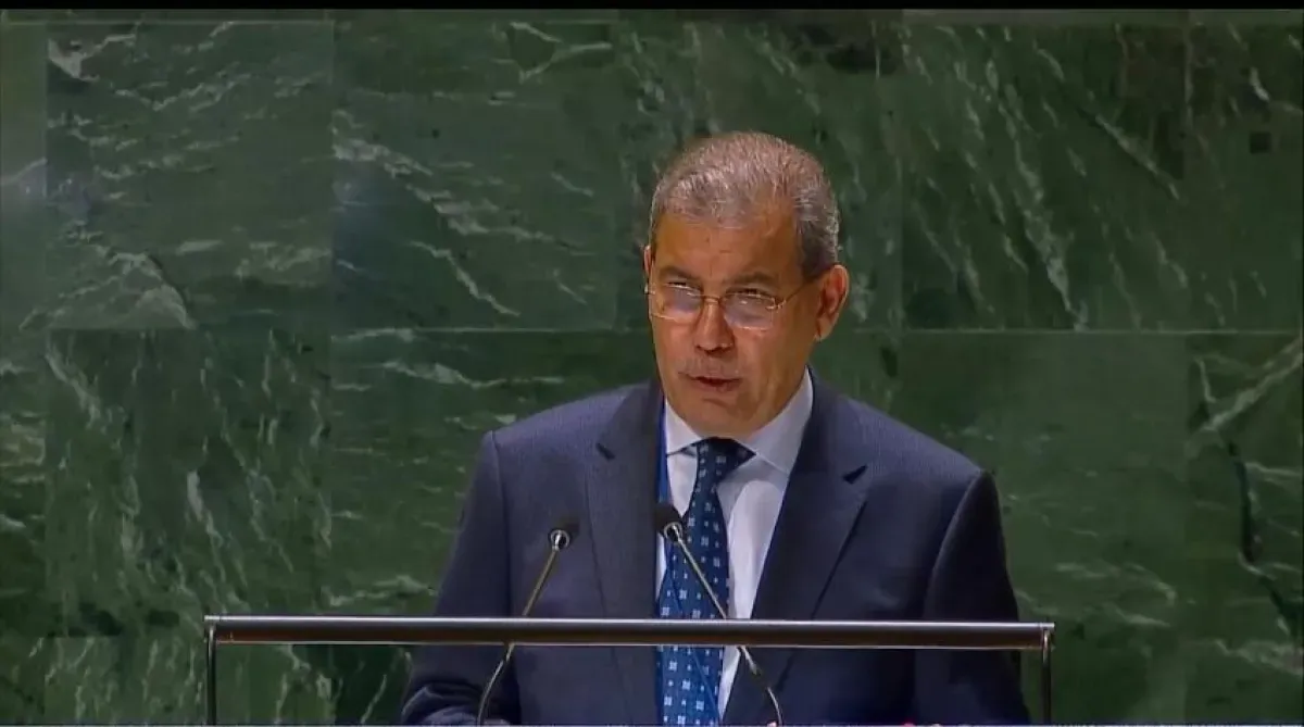 اليمن: هجمات الحوثيين في باب المندب أجندة إيرانية لابتزاز العالم