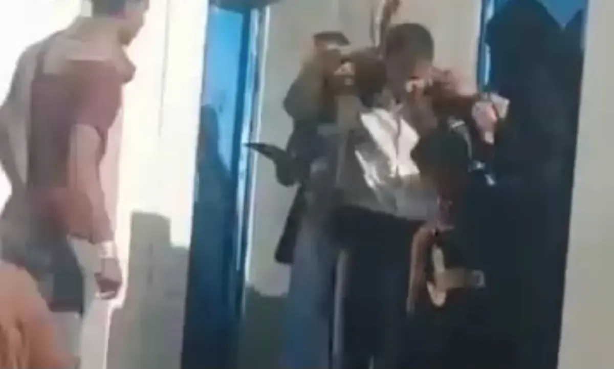 صنعاء: طفل يفقد يده إثر هجوم لبؤة في حديقة الحيوان