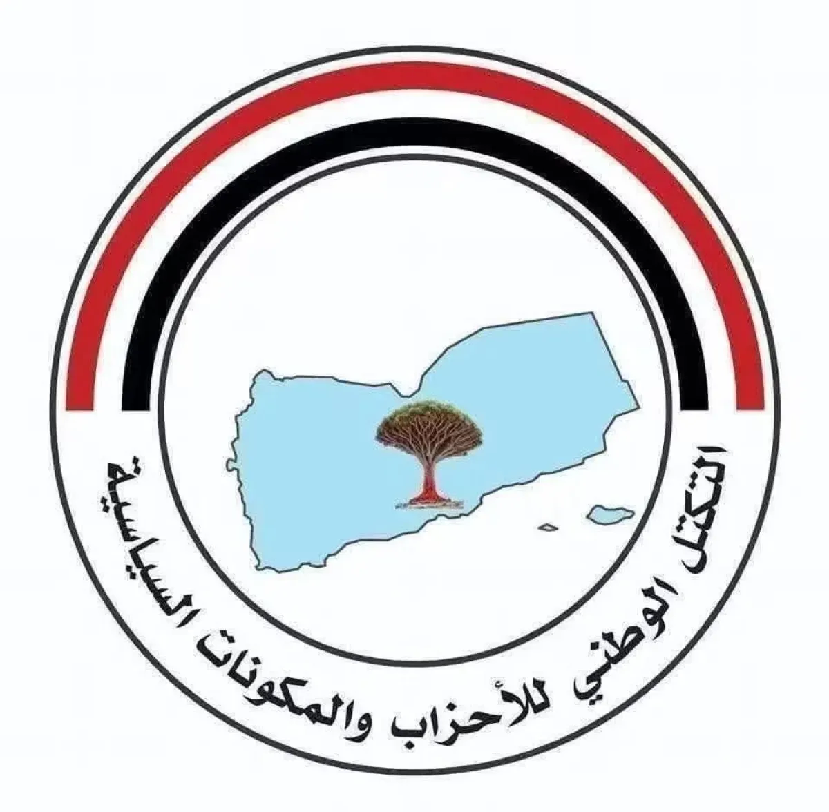 التكتل الوطني يؤسس لجنة إعلامية لتوحيد الخطاب ودعم استعادة الدولة